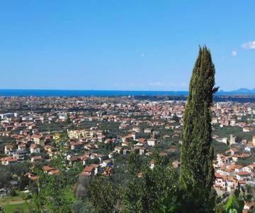 Belvedere 10