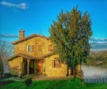 Fattoria Poggio Di Dante