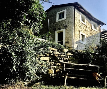 Pippo's Little Resort