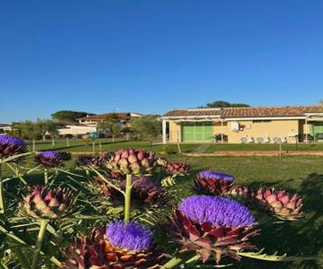 Il Giardino Di Nunzia