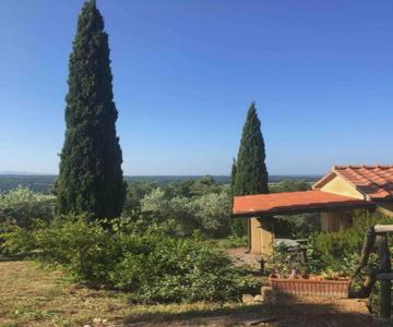 Casa Belvedere -tranquillità tra bosco e ulivi-