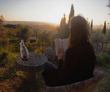 Agriturismo Il Castagnolino