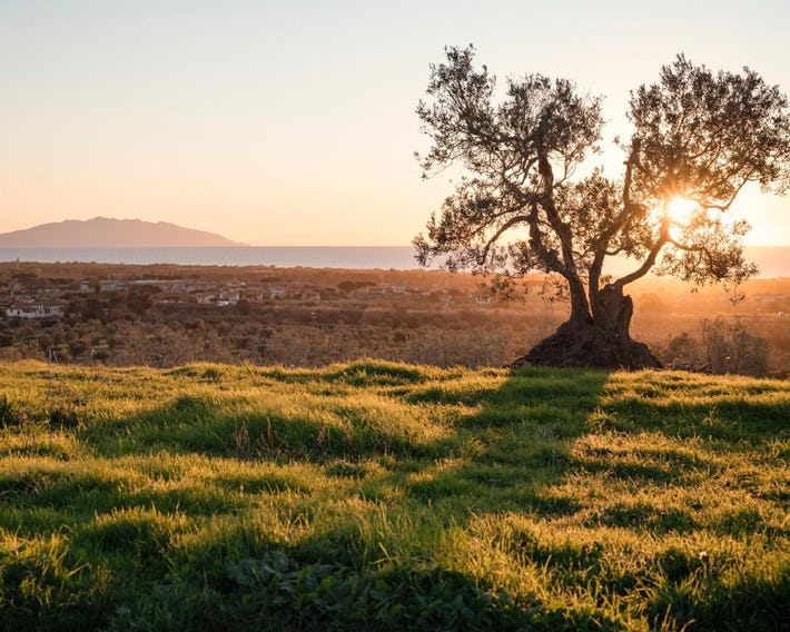 Agriturismo Podere L'Agave