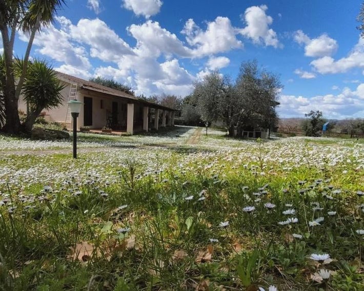 Agriturismo Bio Pian Dei Casali
