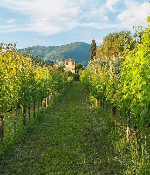 Villa Il Paradisino