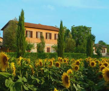 Agriturismo Podere Santa Giuditta