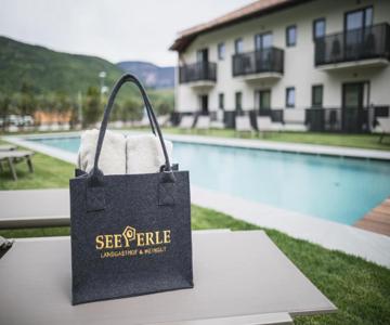 Hotel Landgasthof Weingut Seeperle