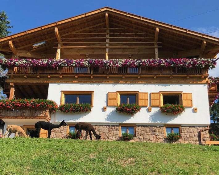 B&B Belvedere