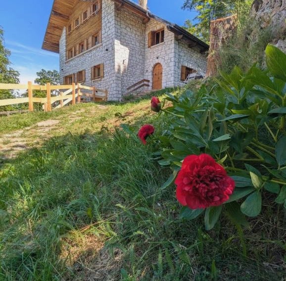 Chalet Peter