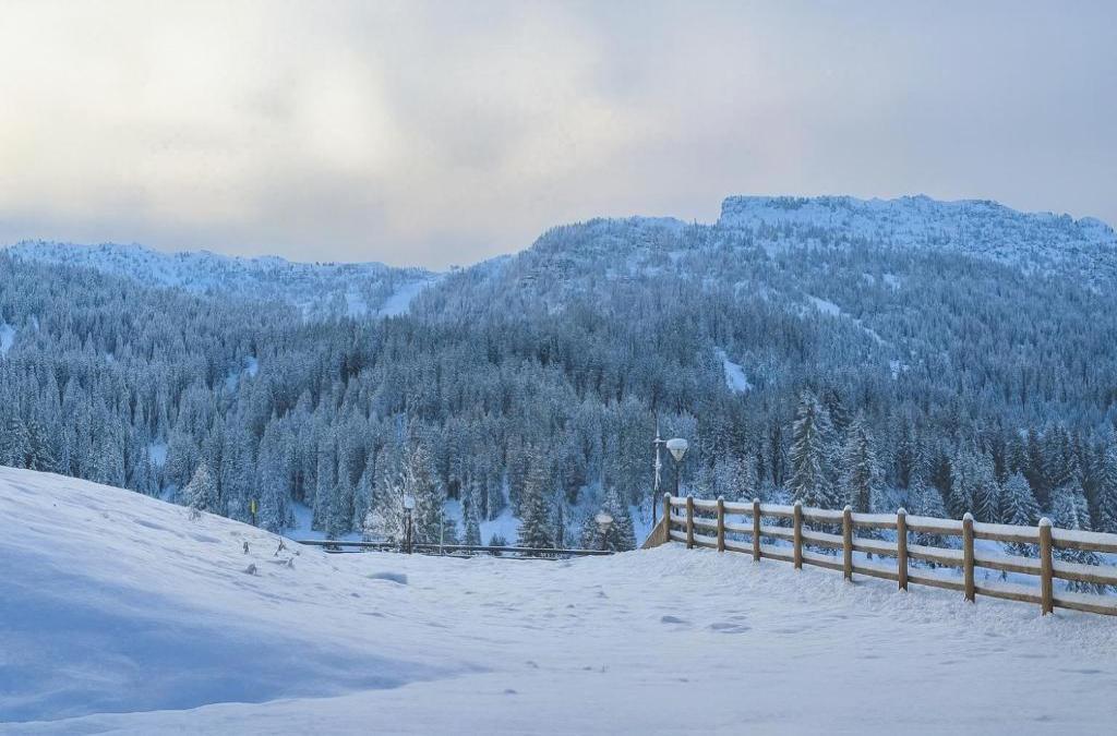 Chalet Campiglio Mountain View - Guardabassi Collection
