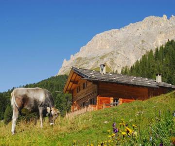 Thaleralm