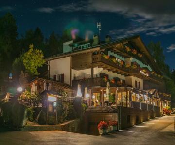 Hotel Drei Birken