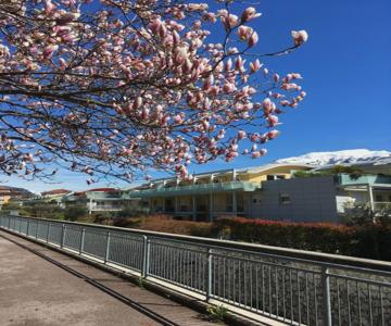 Appartamento al Fiume