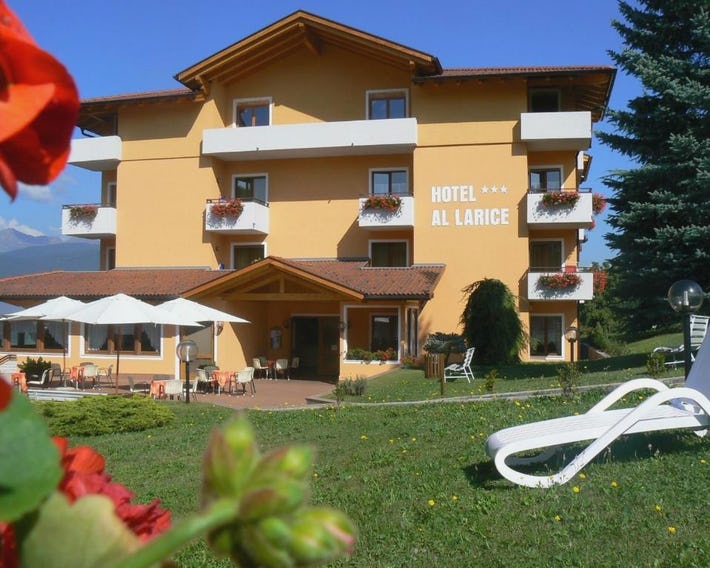 Hotel & Appartamenti Al Larice