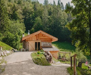 Odomi maso nel bosco - Eleganza e Relax nella Natura