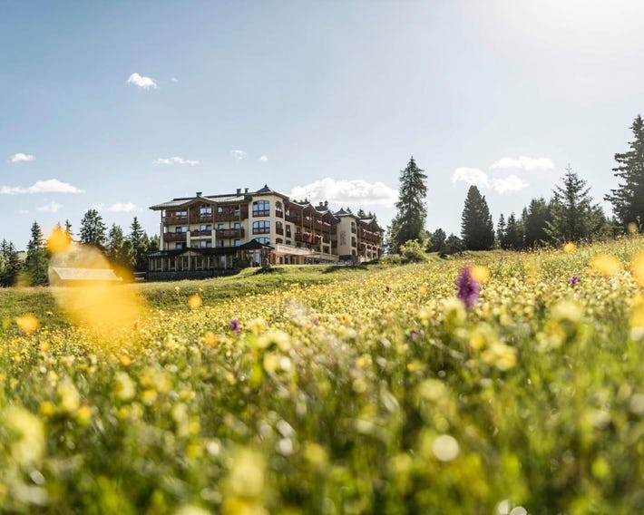 Hotel Steger-Dellai