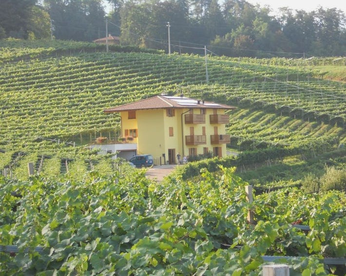 Agritur al Vigneto