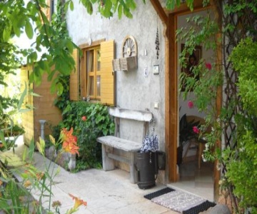 B&B Artemia