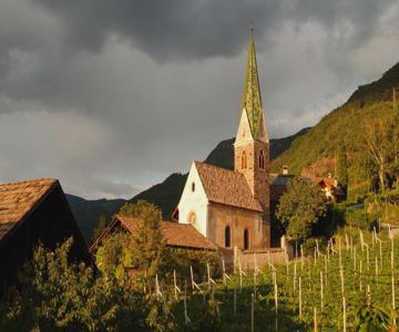 Weingut Messnerhof