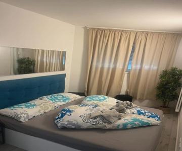 Franz home Wi-Fi AC 1 free parking