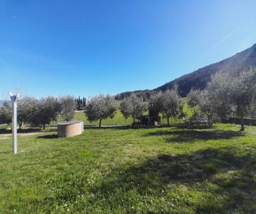 Casal Dei Colli