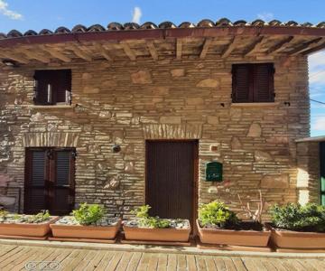 A casatua home