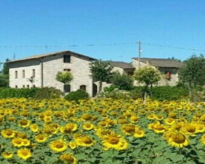 Agriturismo"Il Sagrato di Assisi" appartamenti,camere