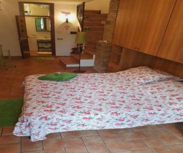 Monolocale l'Anfiteatro Romano