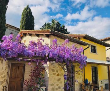 Il Cortile delle Rose Holiday House