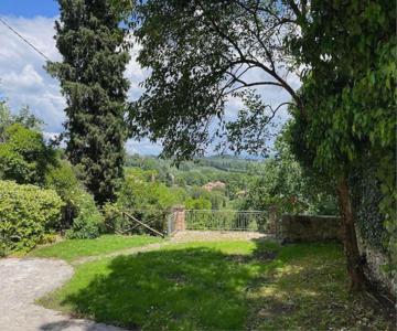Belvedere