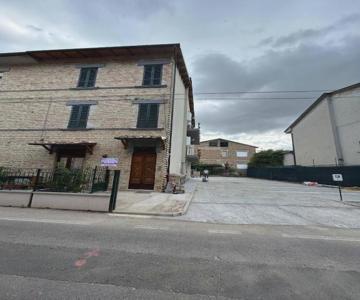 Il Paradiso Delle farfalle