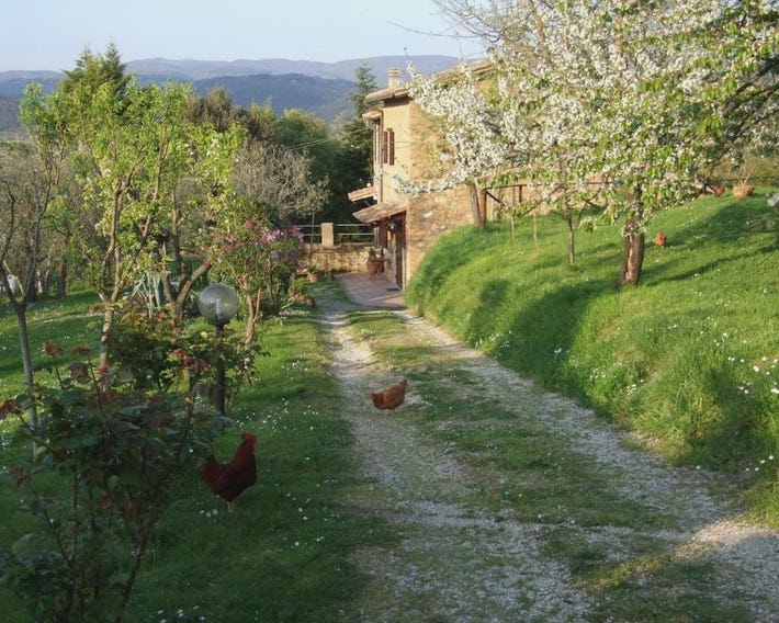Podere La Vigna Locazione Turistica