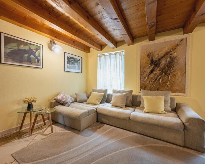 Alpine Apartment