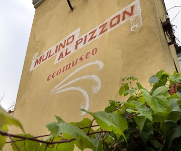 Al Pizzon
