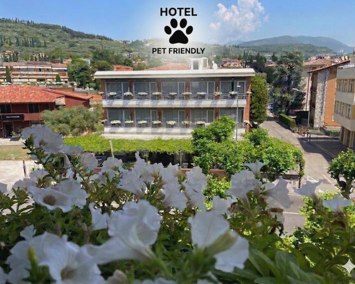 Hotel Benaco Garda ***S