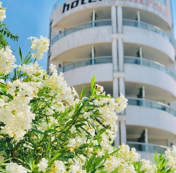 Hotel Centrale