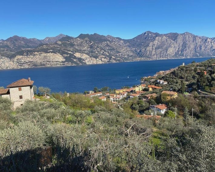 Olive Grove House