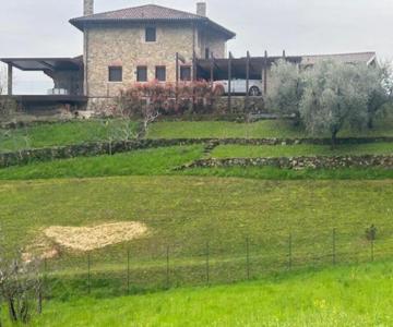 Nuovo B&b Colline San Benedetto