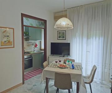 Viale VSM 108