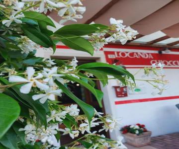 Locanda Chiocciola