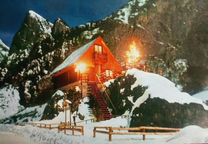 Il nido (Cica)