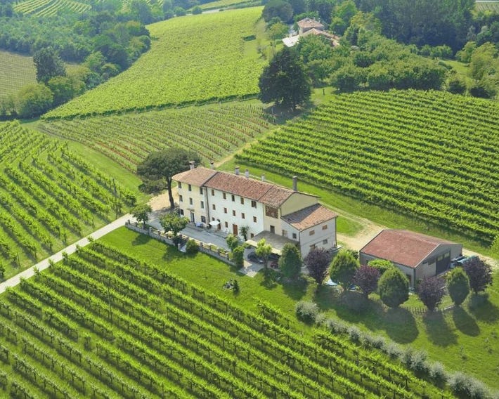Terre Boscaratto