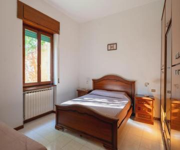 Ludovico12