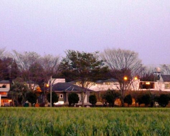 Lilac Hotels and Resort