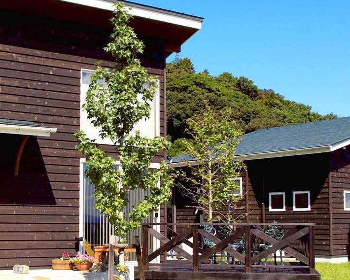 Mt Ichibata Cottage