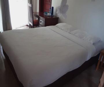 Hotel Hippo Buck