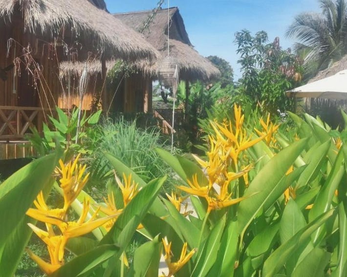 Bird of Paradise Bungalows
