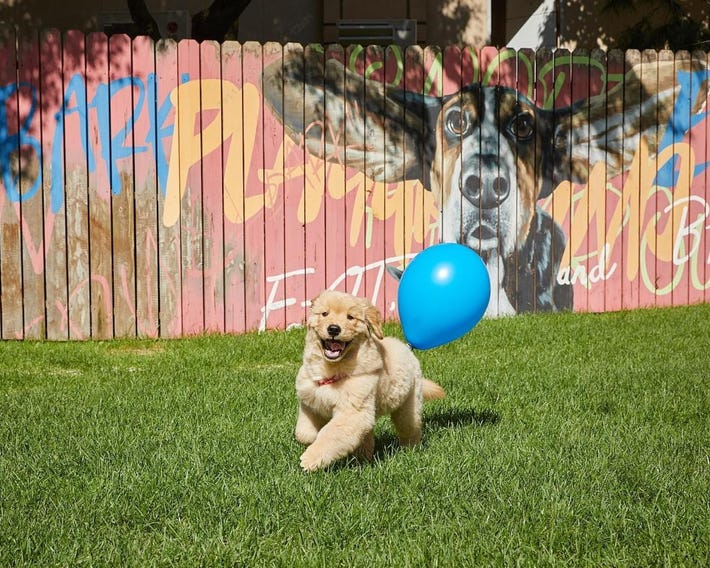 Sono Pet Clubs & Resorts VivaldiPark