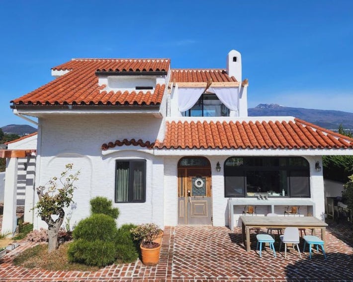 Palm Tree Villa