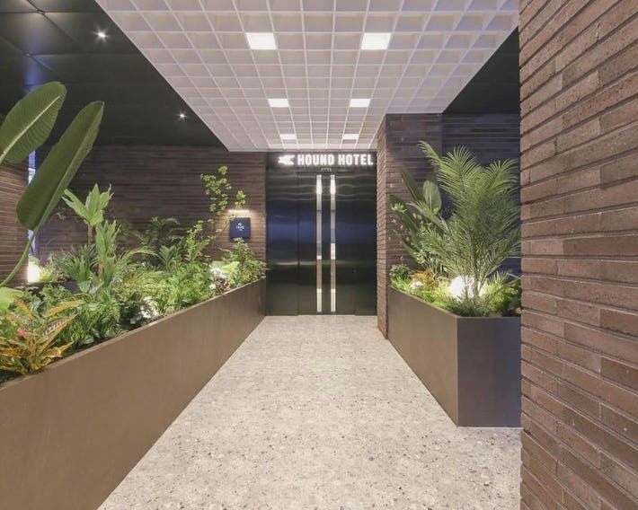 Hound Hotel Jeonju Deokjin